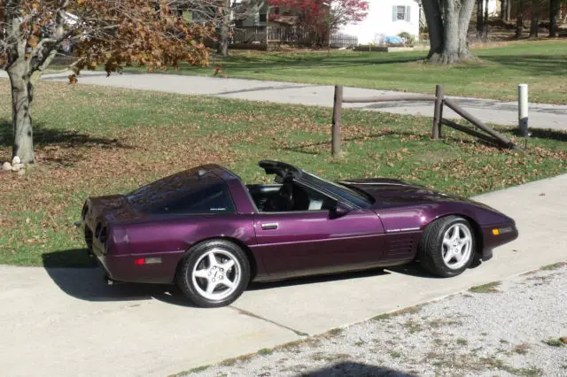 1992 Chevrolet Corvette Callaway Supernatural