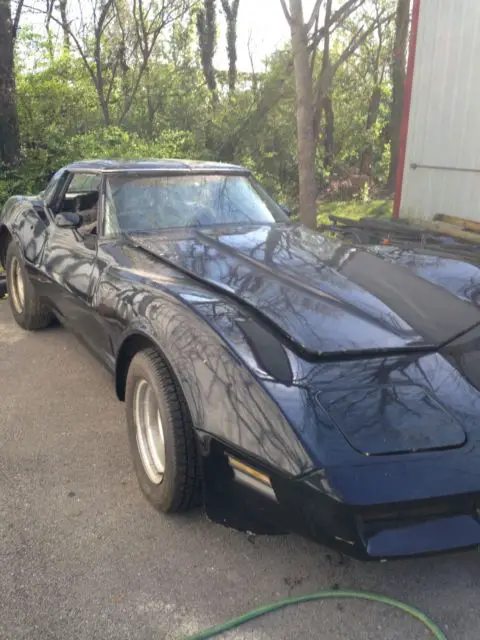 1981 Chevrolet Corvette