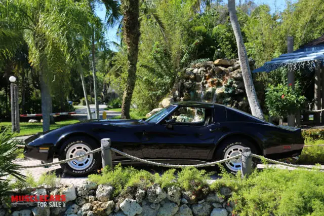 1980 Chevrolet Corvette Glass T Top