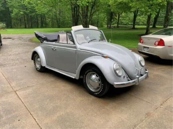 1965 Volkswagen Beetle - Classic