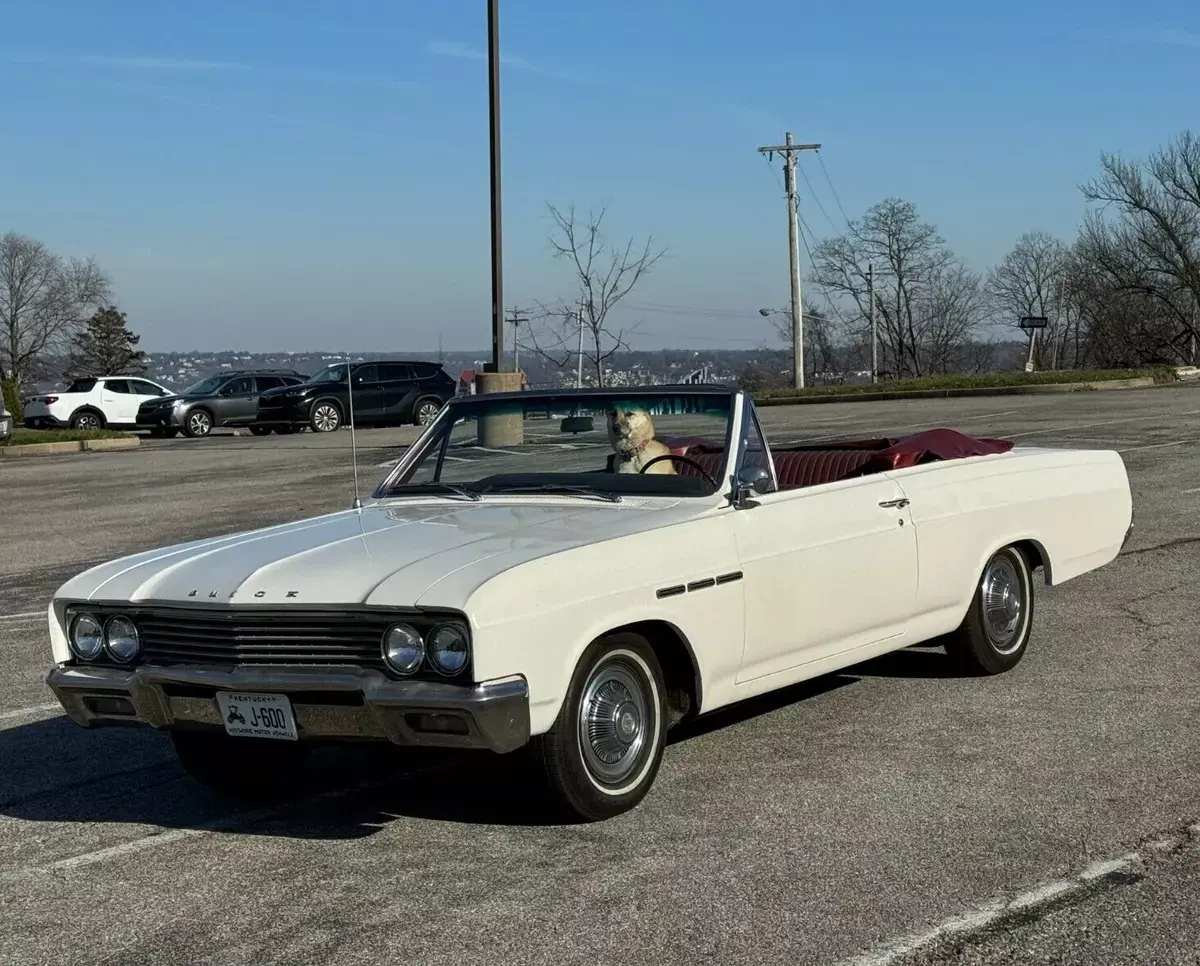 1965 Buick Special Convertible