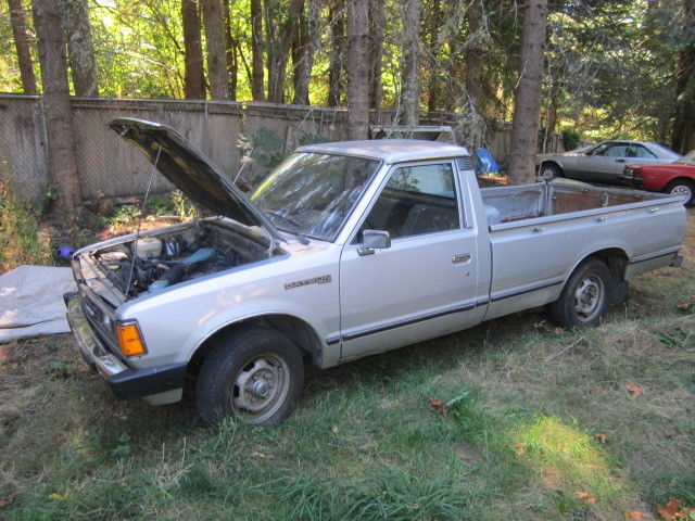 1980 Datsun Other Long Bed