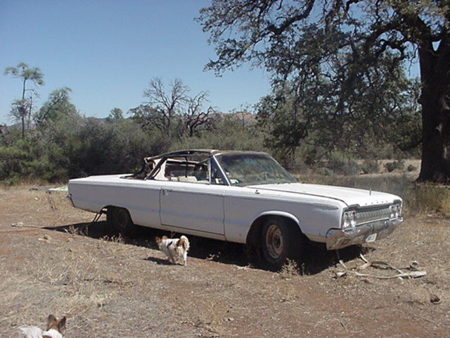 1965 Dodge custom 880
