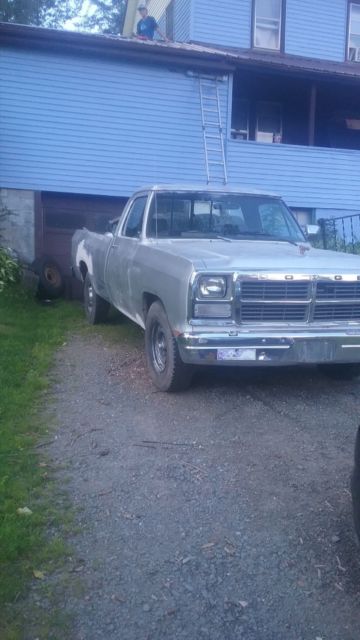 1991 Dodge Truck Silver