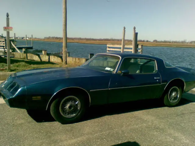 1979 Pontiac Firebird Base Model