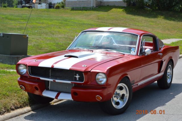 1966 Ford Mustang Shelby clone