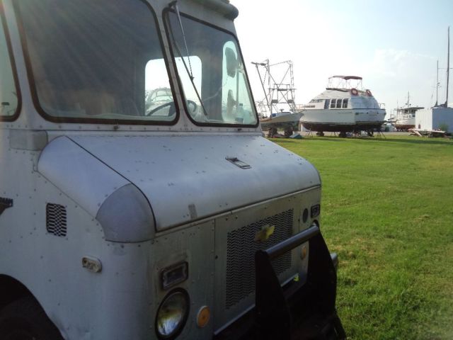 1979 Chevrolet Other Pickups