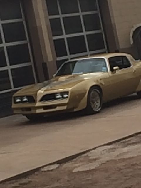 1978 Pontiac Trans Am COUPE