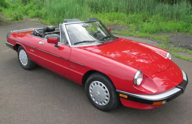 1988 Alfa Romeo Spider