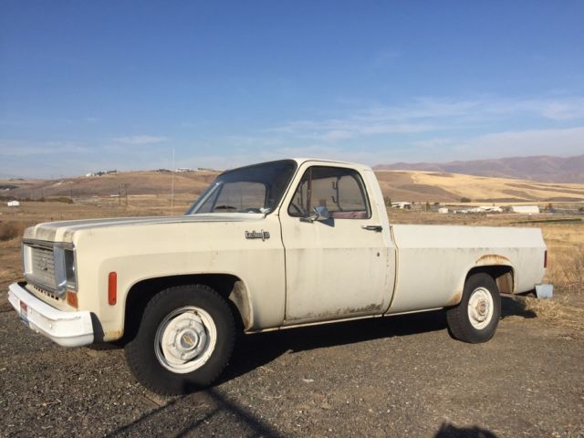 1973 Chevrolet C-10