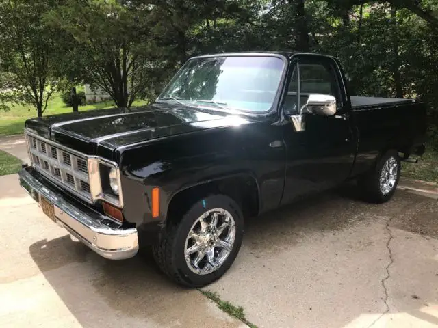 1978 GMC Sierra 1500 Sierra