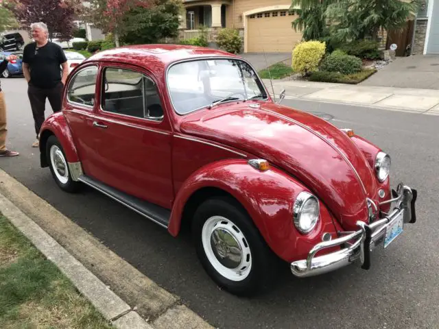 1967 Volkswagen Beetle - Classic