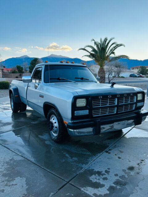 1991 Dodge Other Pickups