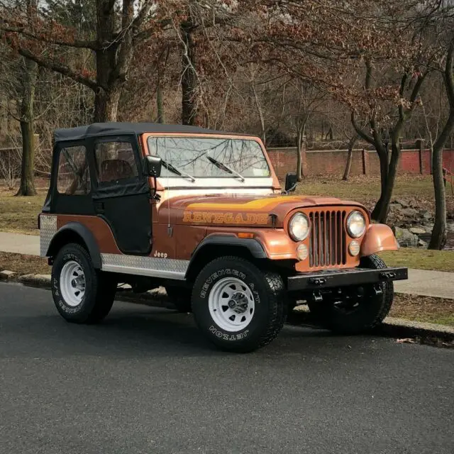 1981 Jeep CJ