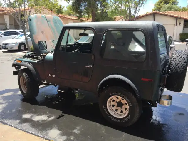 1980 Jeep CJ