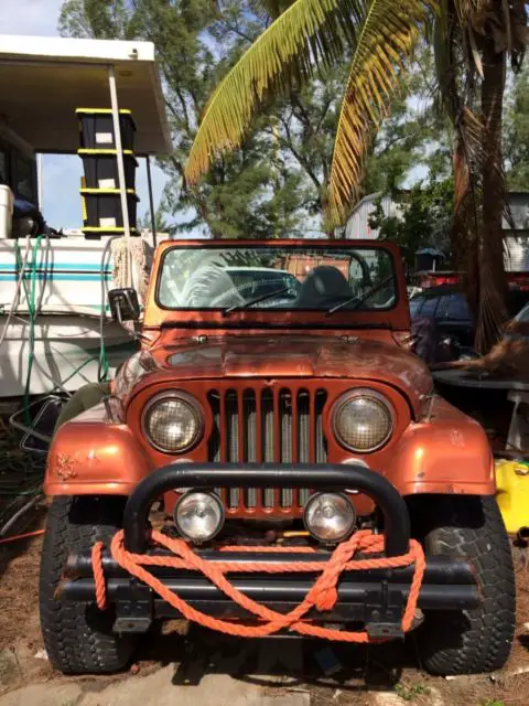 1975 Jeep CJ LEVI