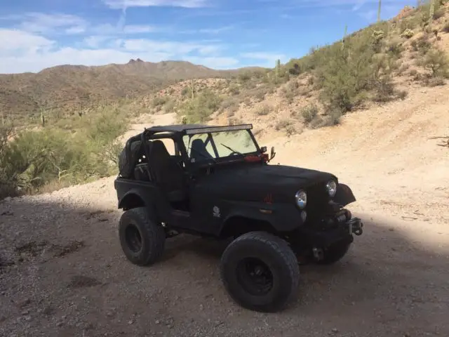 1979 Jeep CJ