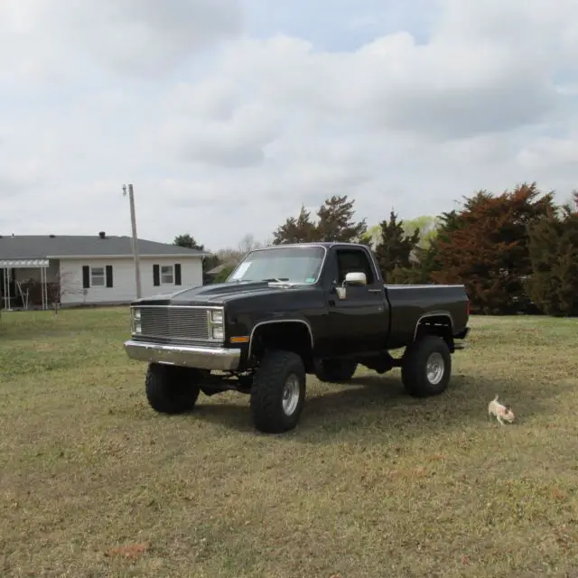 1984 Chevrolet C/K Pickup 1500 K10 3/4t