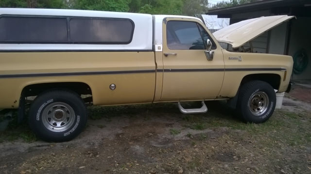 1976 Chevrolet C/K Pickup 1500