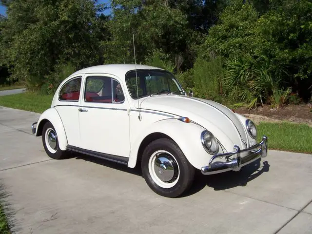 1966 Volkswagen Beetle - Classic 2 dr coupe