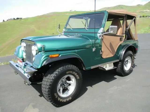 1979 Jeep CJ