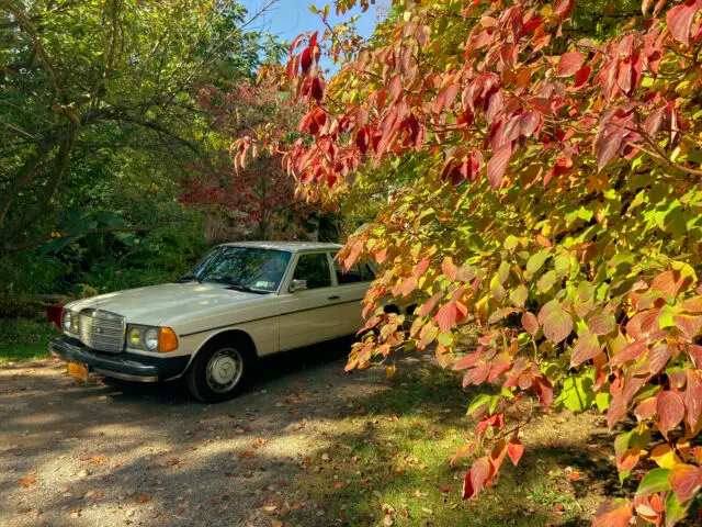 1983 Mercedes-Benz 200-Series