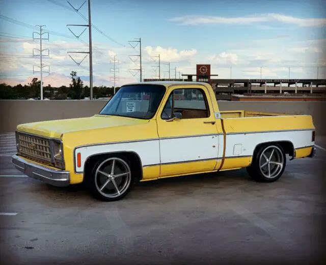 1979 Chevrolet C-10 LS Swap great Patina