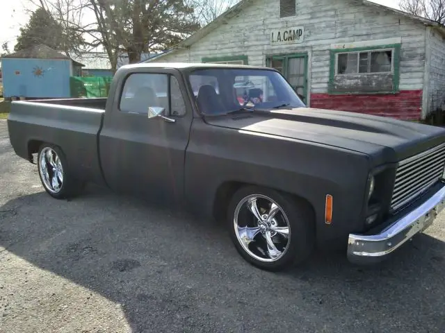 1979 Chevrolet C-10