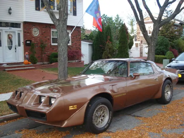 1981 Pontiac Trans Am