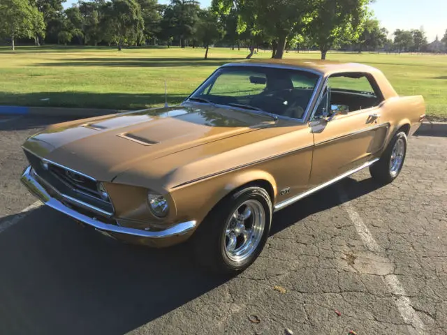 1968 Ford Mustang GT 302 IN SHOW CONDITION NO RESERVE!!!