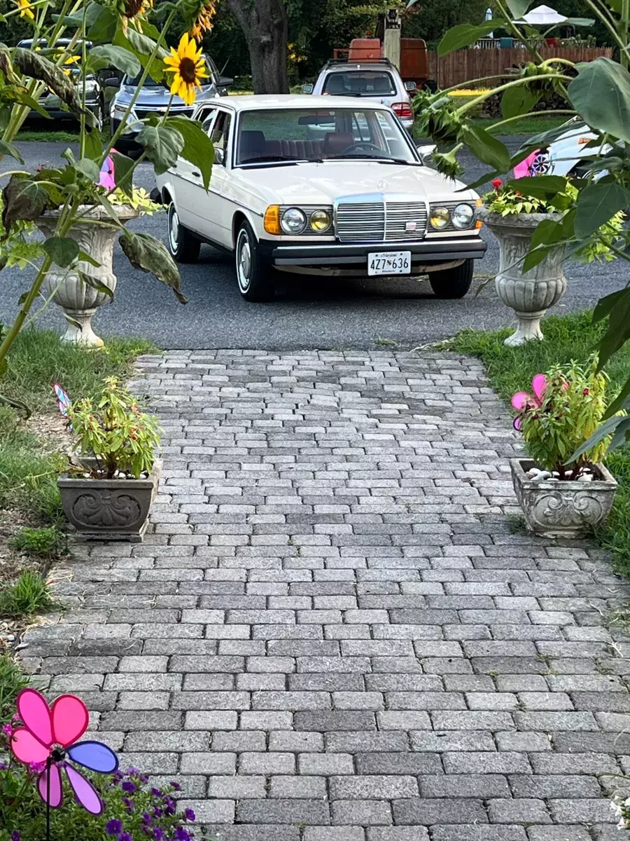 1981 Mercedes-Benz Other