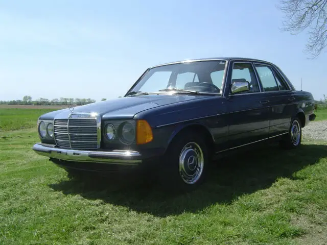 1980 Mercedes-Benz 200-Series Wood