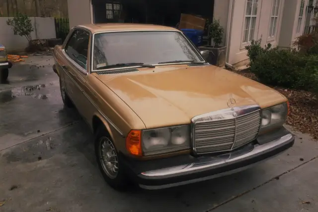 1982 Mercedes-Benz 300-Series