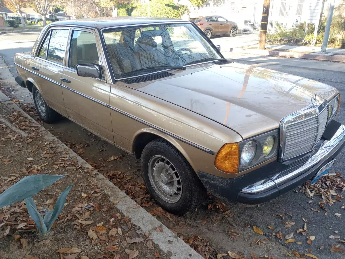 1985 Mercedes-Benz 300-Series DT