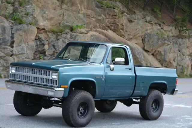 1981 Chevrolet Other Pickups Custom Deluxe