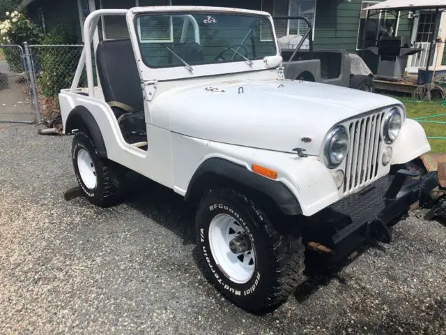 1975 Jeep CJ Base Trim