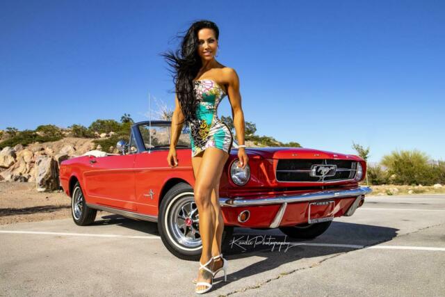 1965 Ford Mustang CONVERTIBLE A-CODE 4 SPD A/C PWR TOP DISC BRKS