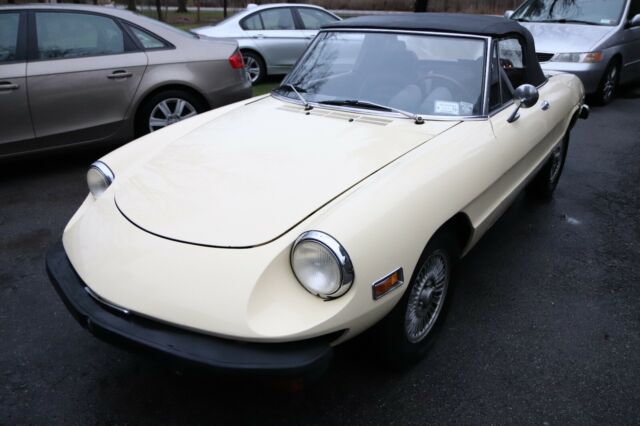 1975 Alfa Romeo Spider