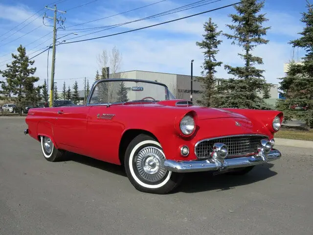 1955 Ford Thunderbird NO RESERVE