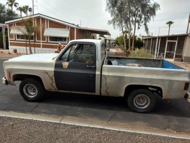 1977 Chevrolet C-10 short bed truck