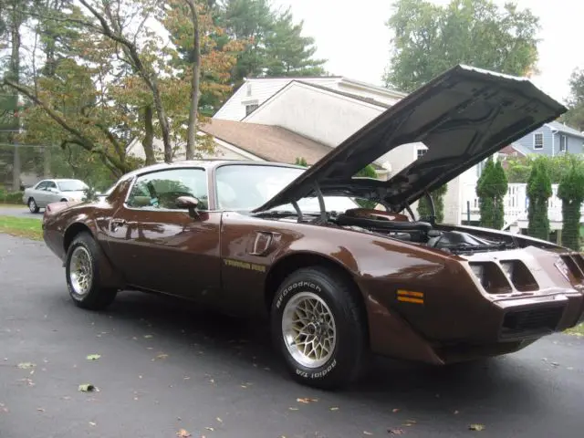 1979 Pontiac Firebird