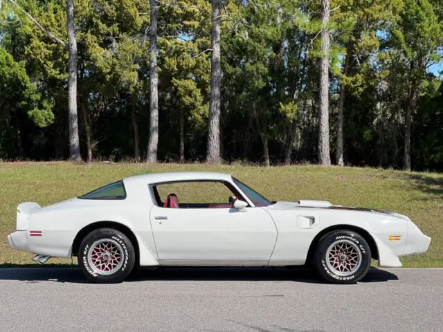 1980 Pontiac Trans Am Trans am