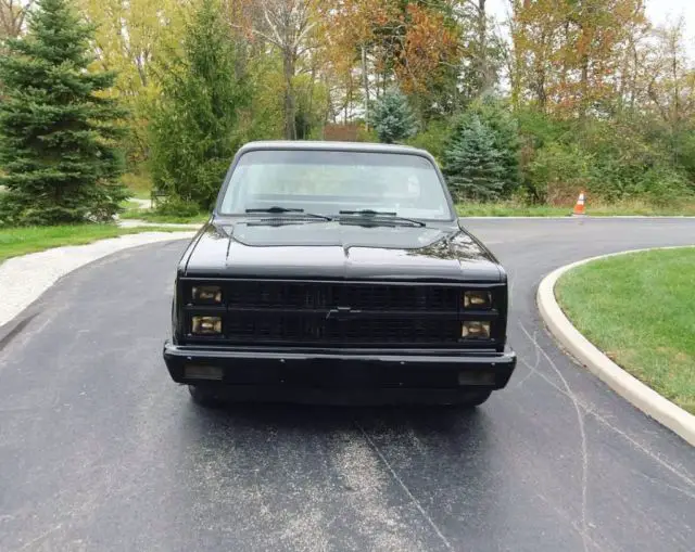 1981 Chevrolet C-10