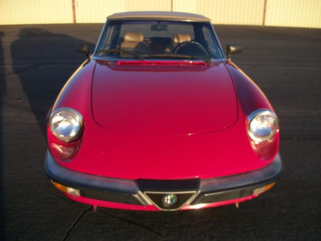 1987 Alfa Romeo Spider