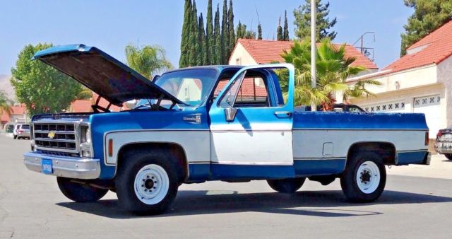 1979 Chevrolet C-10 C20 SILVERADO PACKAGE PATINA