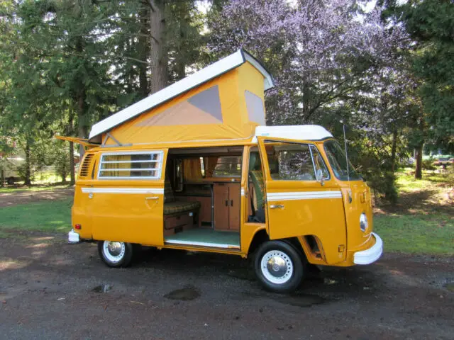 1977 Volkswagen Bus/Vanagon CAMPER