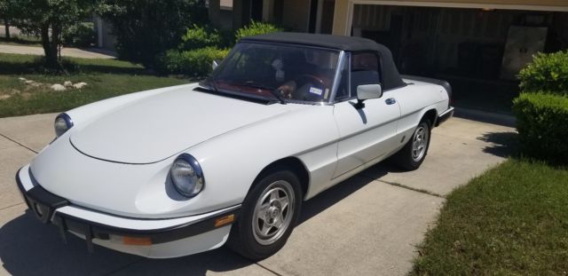 1985 Alfa Romeo Spider