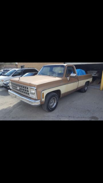 1980 Chevrolet C-10