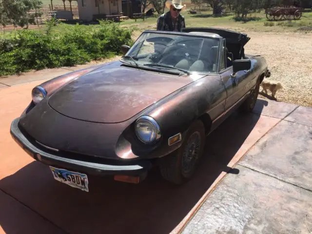 1981 Alfa Romeo Spider