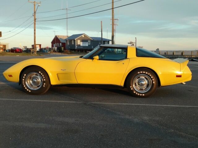 1979 Chevrolet Corvette L48